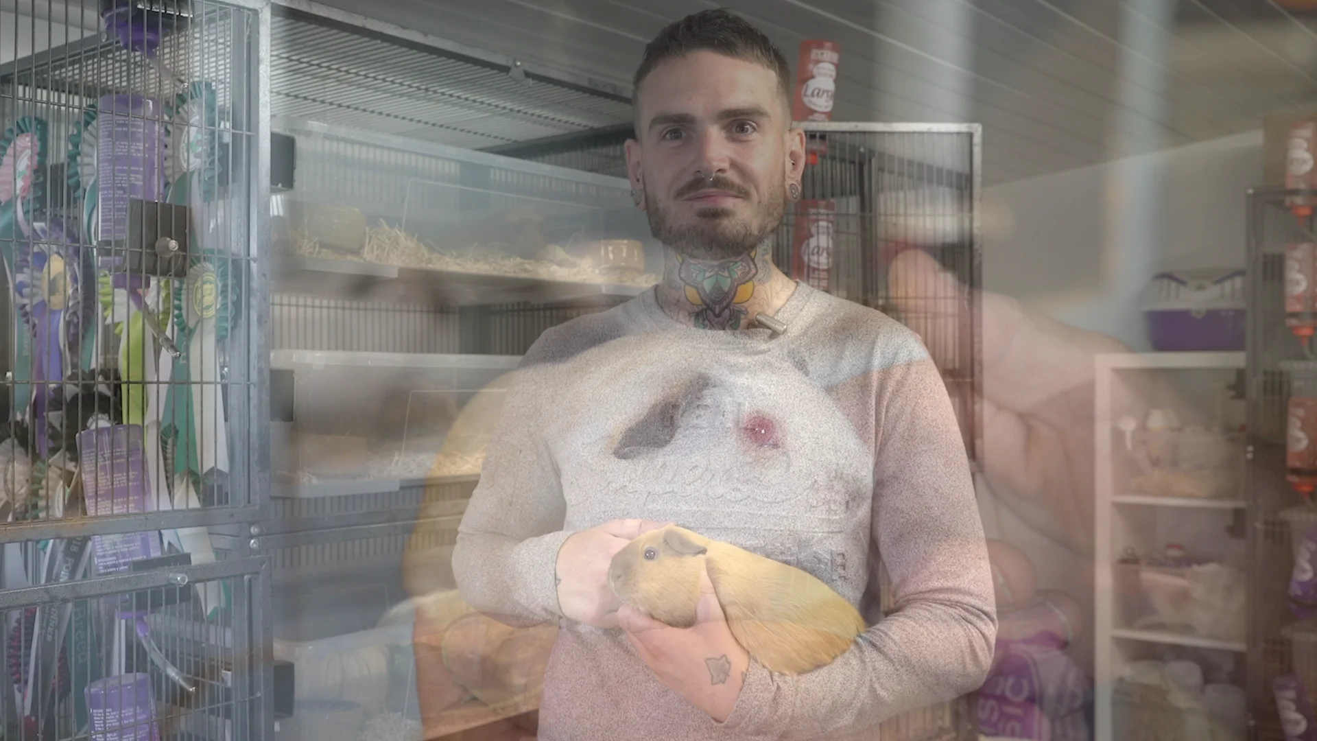 The Keepers of the Pigs