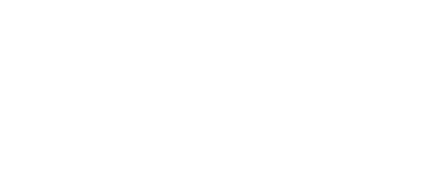 The Black Swindler logo