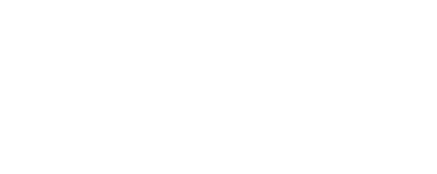Bride Hard logo