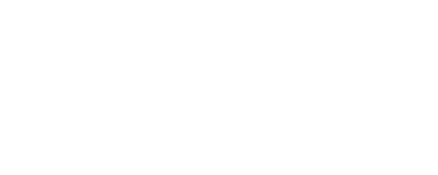 The Surfer logo