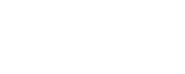 Wild Things logo