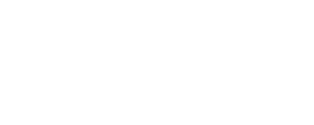 Wild Things logo