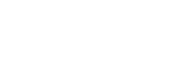 The Double logo