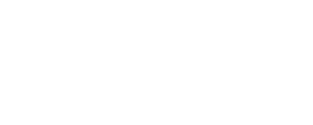 The Double logo