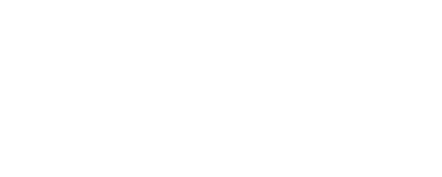 Fictitious Girl's Diary logo