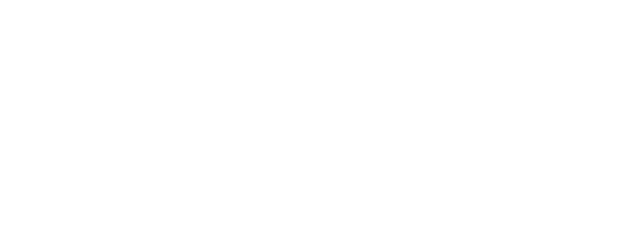The Sin logo