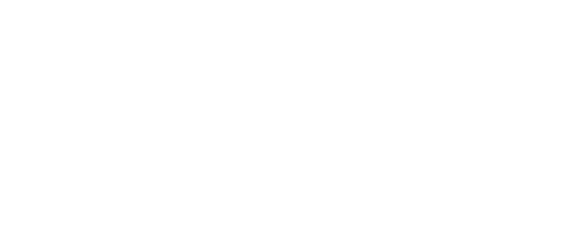 Heavy Snow logo