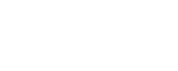 Heavy Snow logo