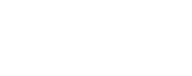 Born to Spy logo