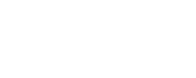 Born to Spy logo