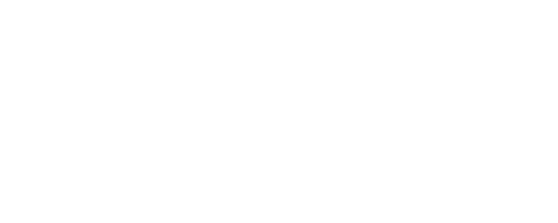 Sleeping Dogs logo