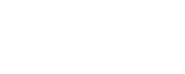 I Parry Everything logo