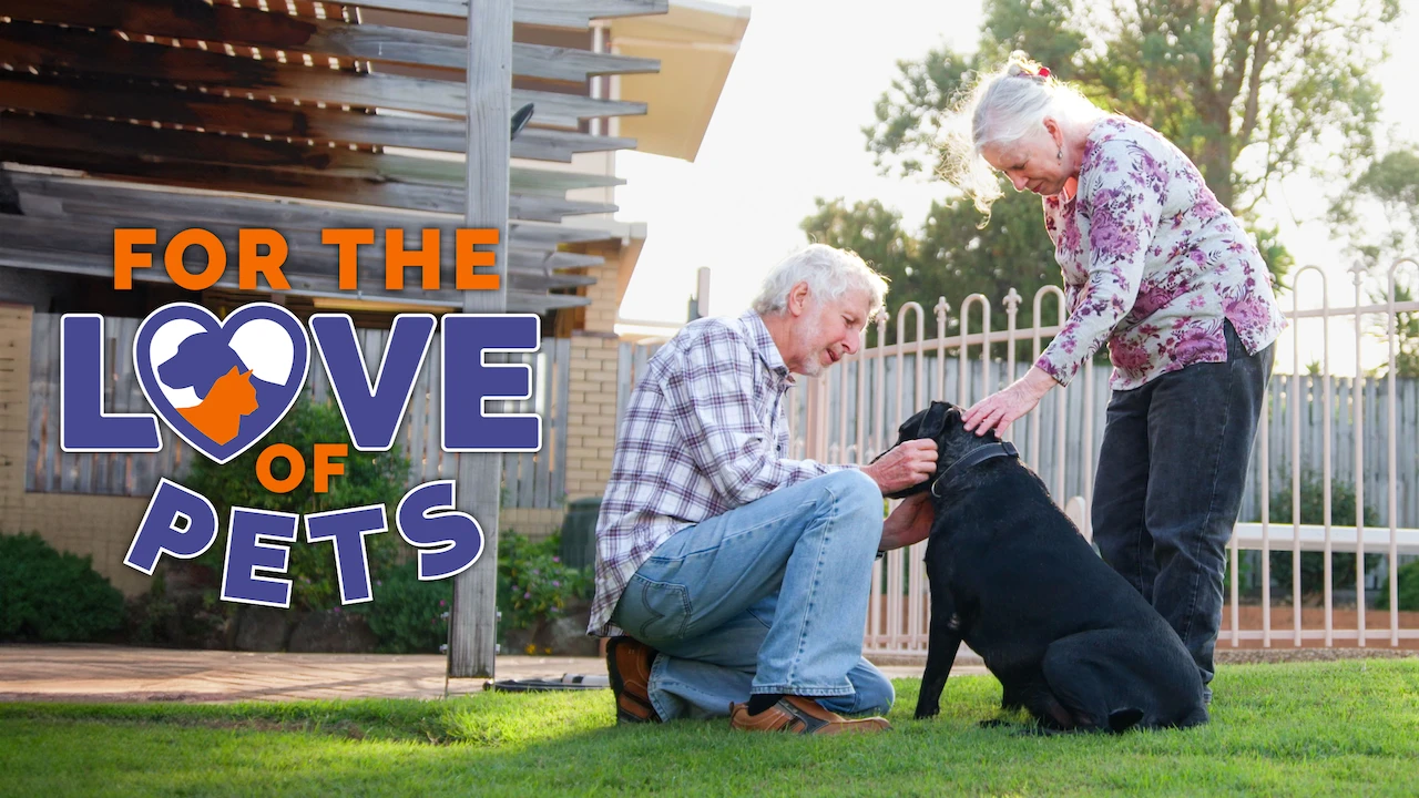 For the Love of Pets