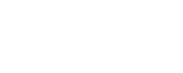 A Life : A Love logo