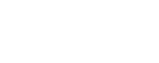 Valle Salvaje logo