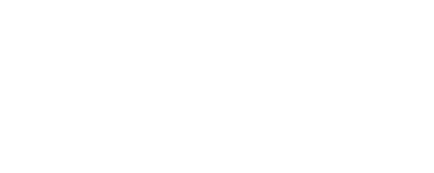 Snowball logo