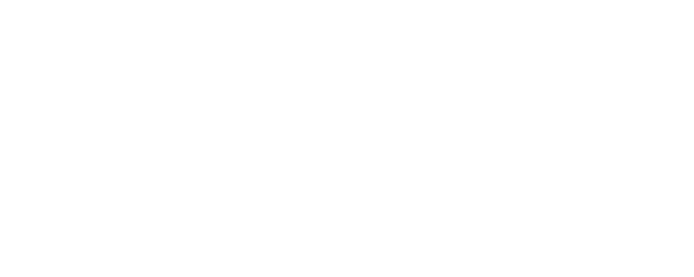 Light of My Lion logo