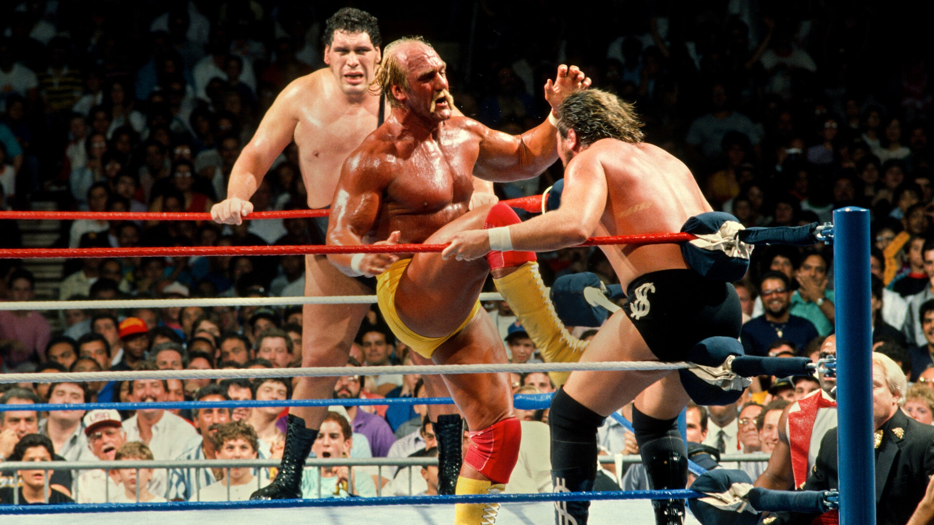 WWE SummerSlam