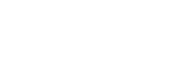 WWE New Year's Revolution logo