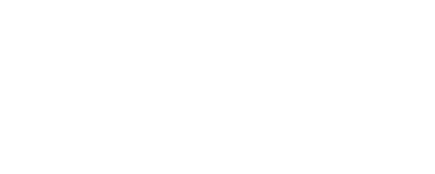 WWE New Year's Revolution logo