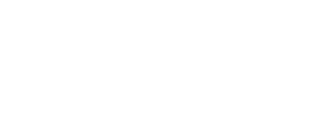 WWE One Night Stand logo