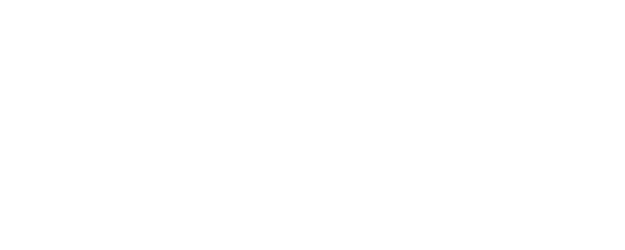 WWE One Night Stand logo