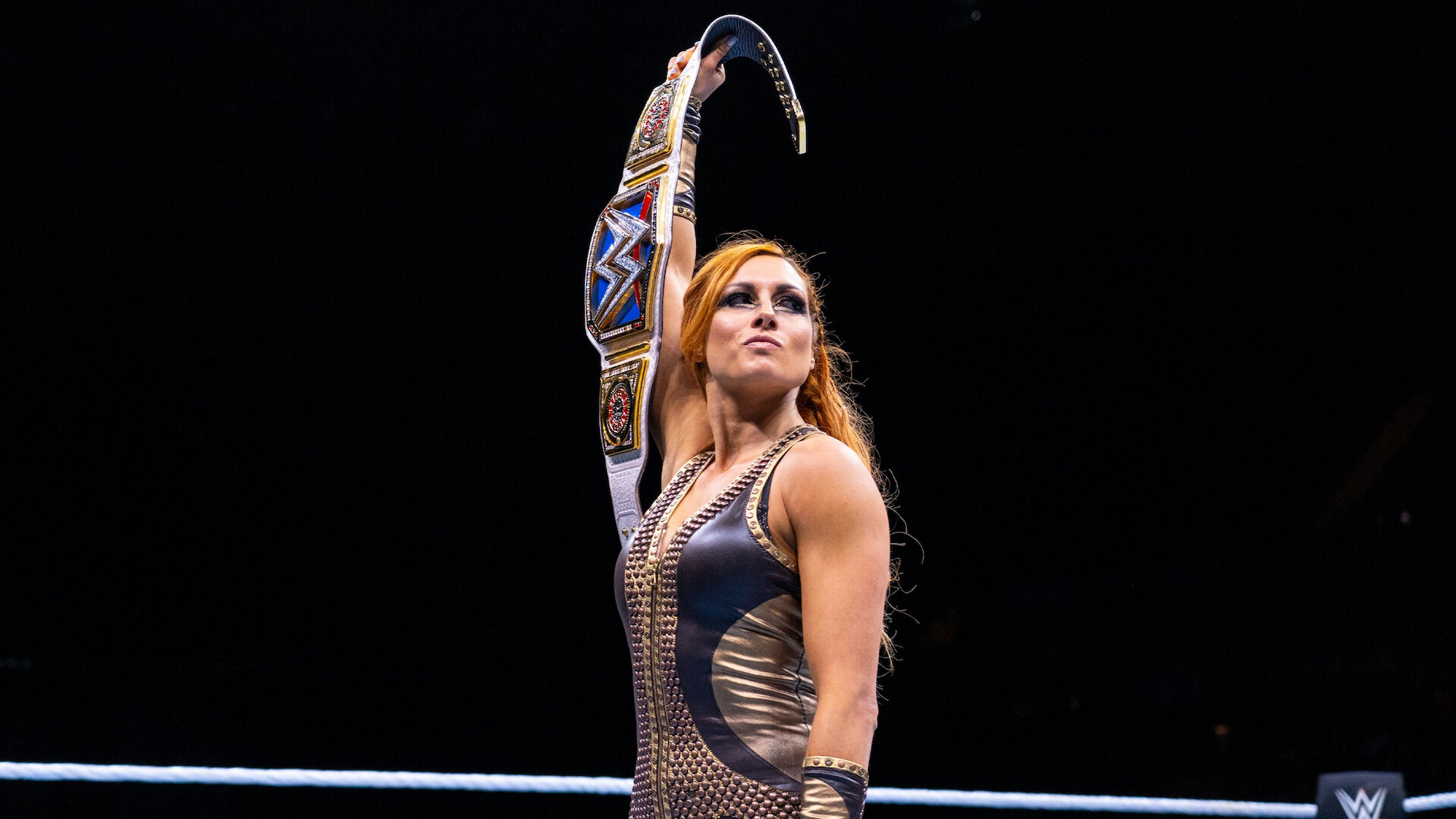 WWE Evolution
