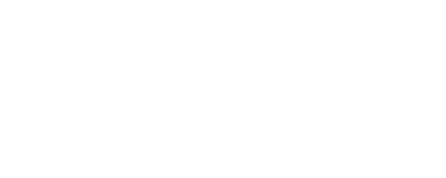 Ah Fei logo