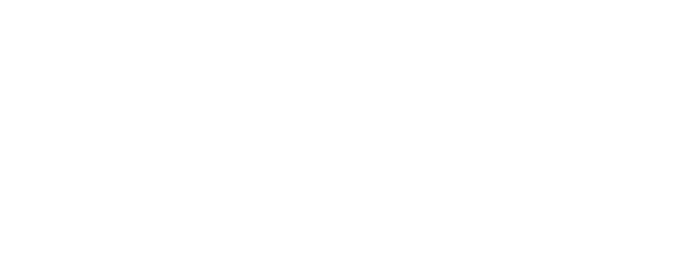Ah Fei logo