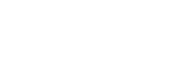 Mirror Image logo