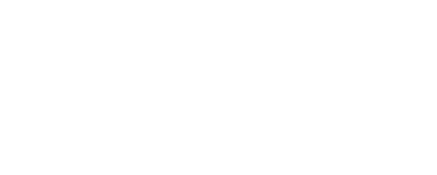 Problemista logo