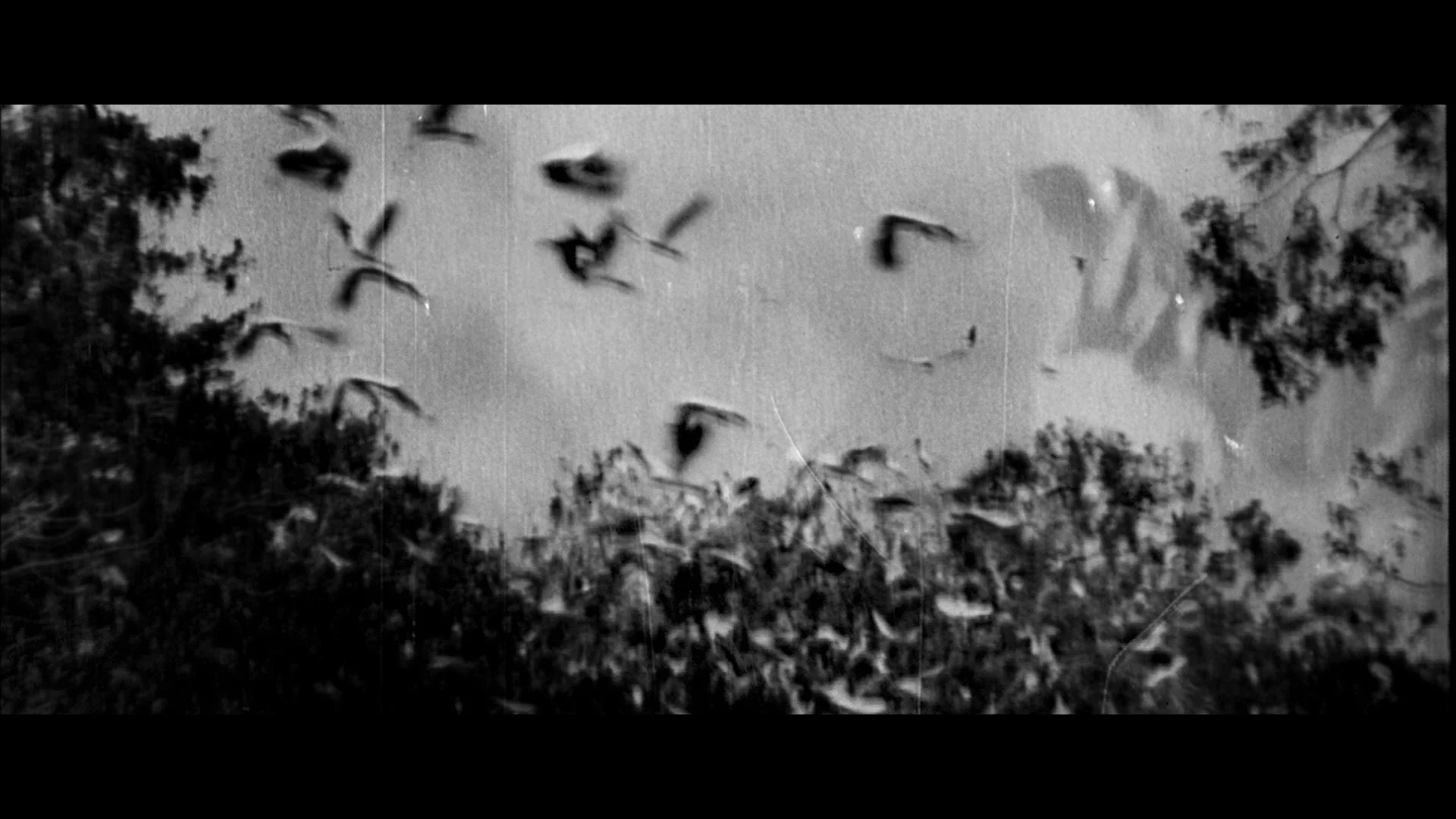 A queda do céu