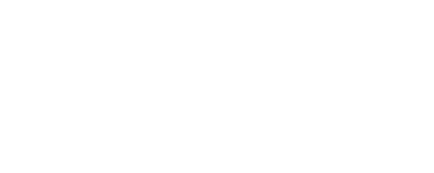 Any Stray Cat logo