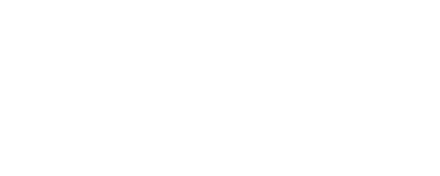 Riot! Rebel with a Cause logo