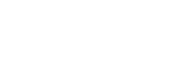 No Other Choice logo