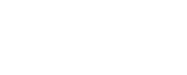 No Other Choice logo