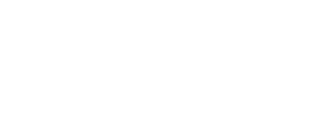 The Ultimate Duo logo