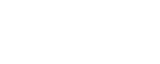 Castle in the Time logo