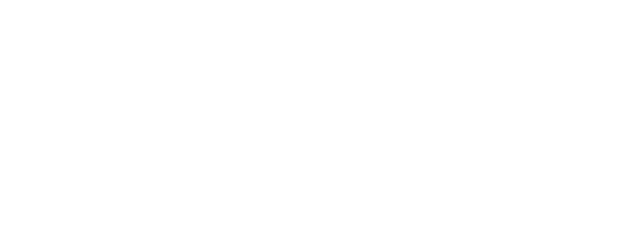 Castle in the Time logo
