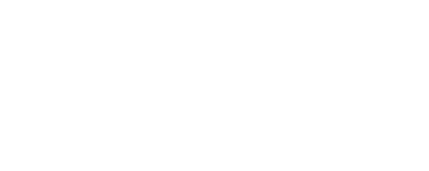 Blindspot logo