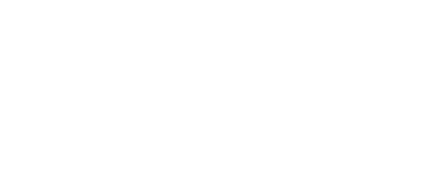 Blindspot logo