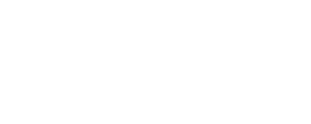 Brocade Odyssey logo