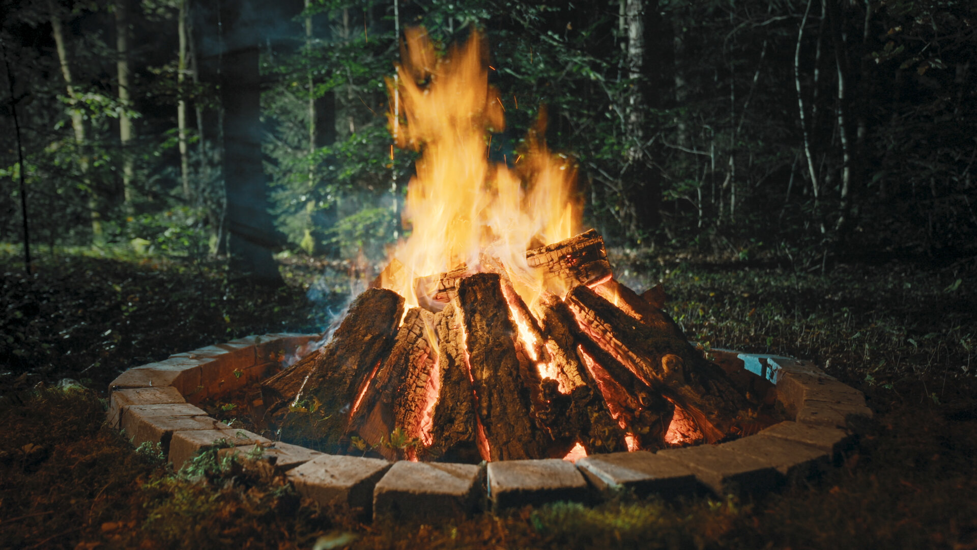 Family Pack: Fireplace
