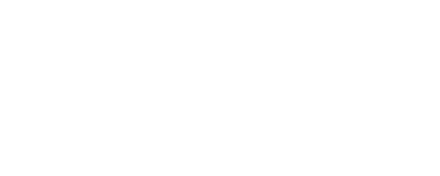 14 Days, 12 Nights logo