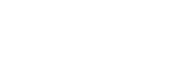Social Savvy Class 101 logo