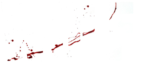 Wolf logo