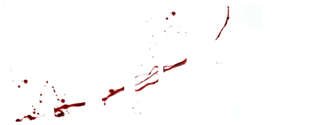 Wolf logo