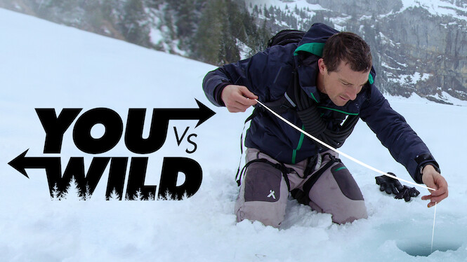 You vs. Wild