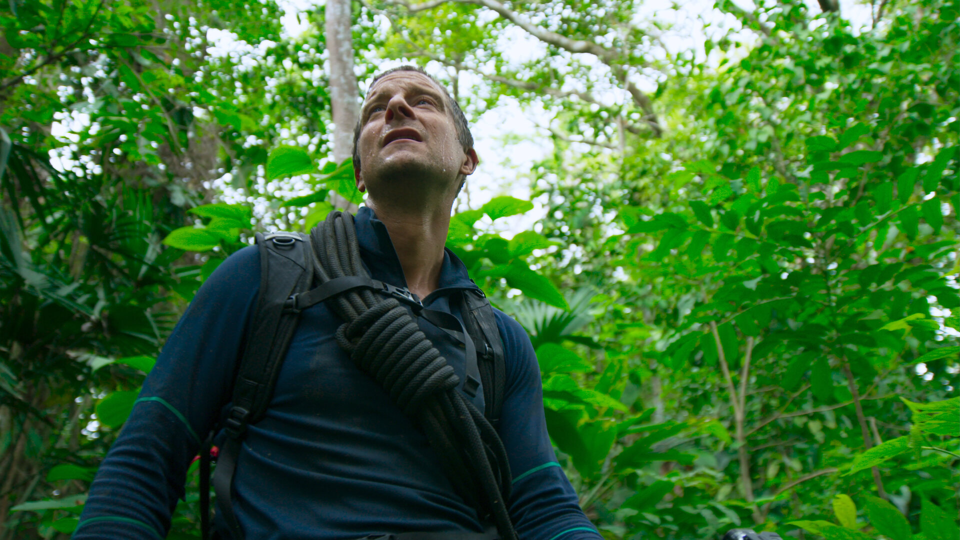 You vs. Wild
