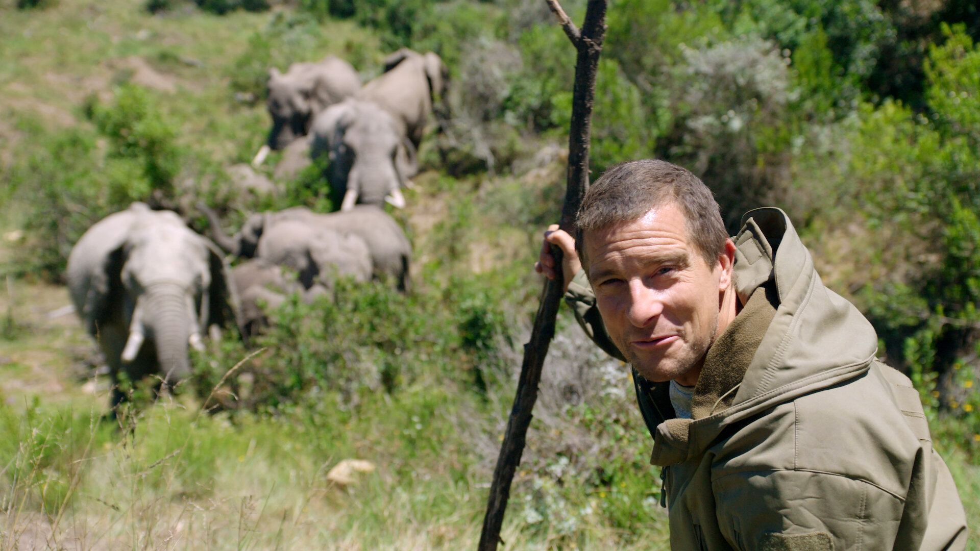 Animals on the Loose: A You vs. Wild Movie